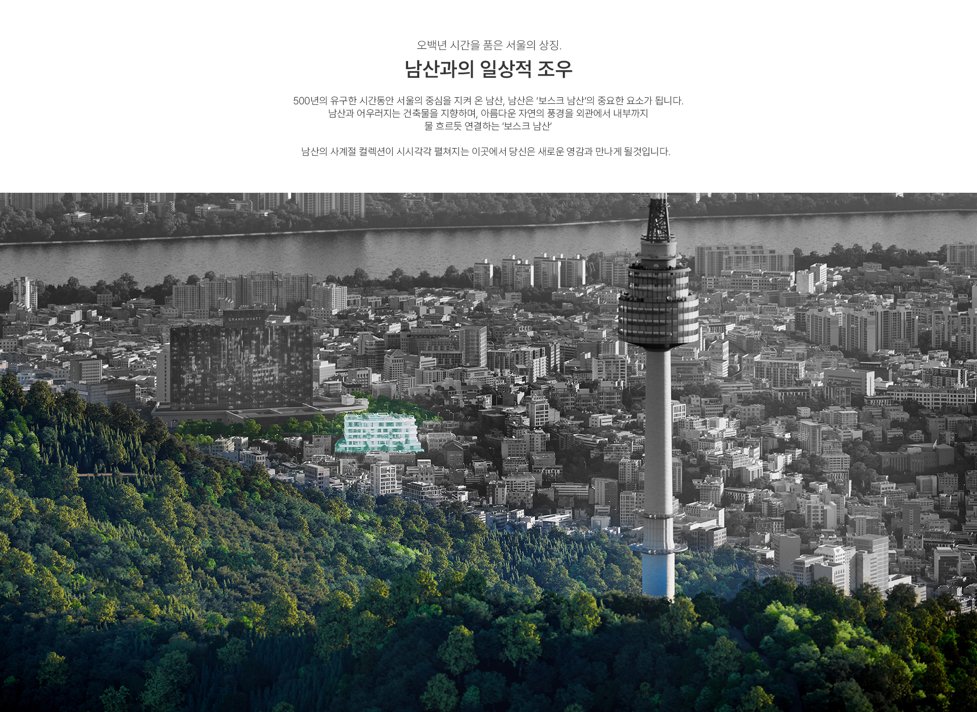 이미지명